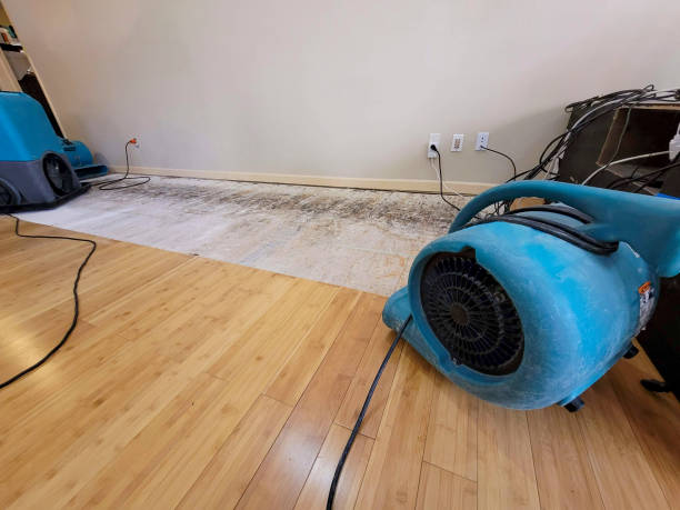 Professional Ceiling Water Damage Repair technician working in Norman, OK